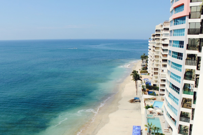 chambre-hote-THEOULE SUR MER-min_beach_ocean_shore_hotel_palm_tree-33726